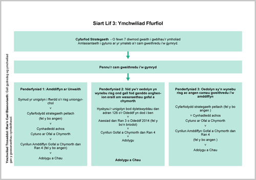 flow_chart3_cymraeg