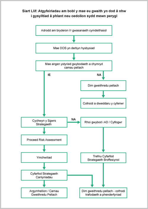 referrals_flowchart_cymraeg